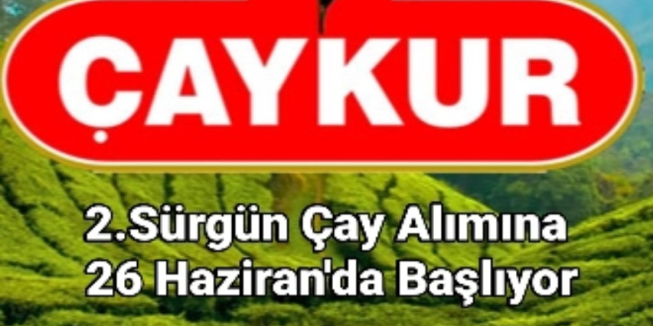 ÇAYKUR 2. SÜRGÜN ÇAY ALIMLARINA 26 HAZİRAN ÇARŞAMBA GÜNÜ BAŞLIYOR