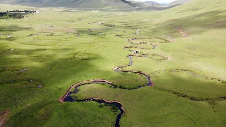 Nefesleri Kesen Yayla