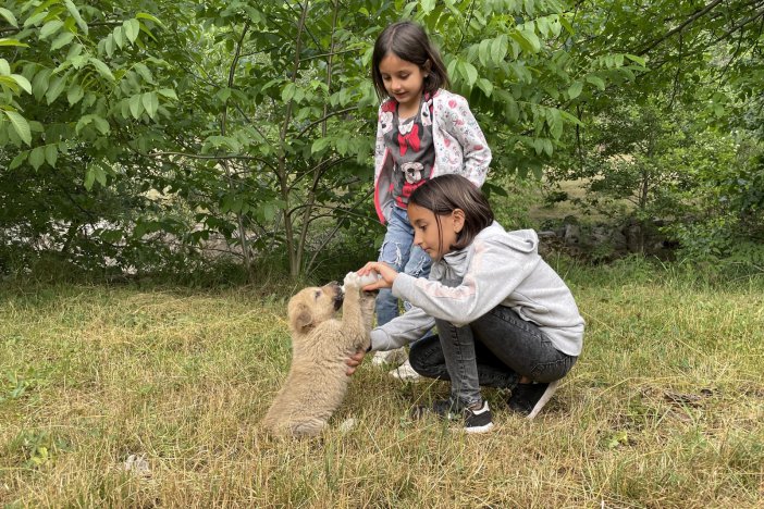 Köyün Gençleri Annesiz Kalan Yavru Köpeği Biberonla Besliyor