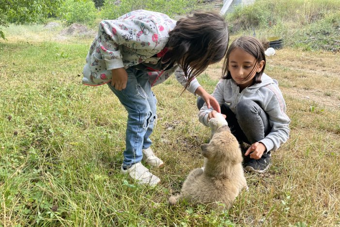 Köyün Gençleri Annesiz Kalan Yavru Köpeği Biberonla Besliyor