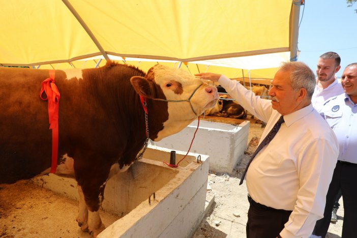 İlkadım’dan ‘kurbanınız Sevince Dönüşsün’ Kampanyası