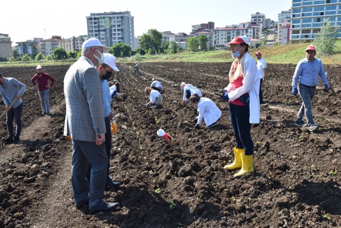 Omü’ye Tıbbi-aromatik Bitki Bahçesi