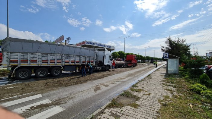 Köpeğe Çarpmamak İçin Manevra Yapan Tır Refüje Çıktı