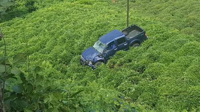 Rize’de Araç Çay Tarlasına Uçtu: 2 Yaralı