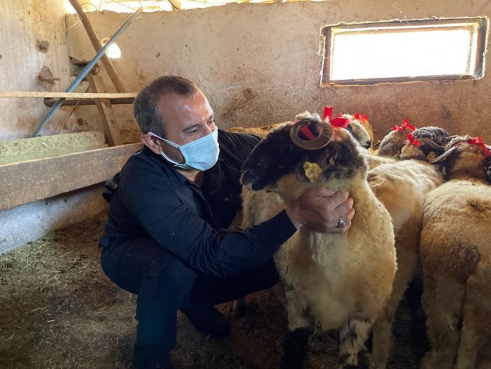 Yetim Ve Öksüz Çocuklara Kınalı Koçlarla Bayram Sevinci