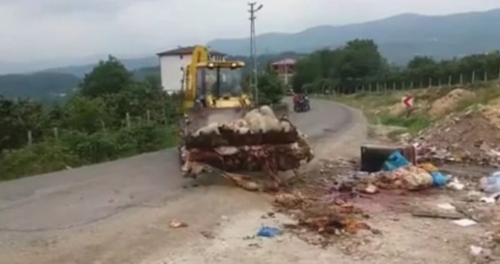 Çevreye Atılan Kurbanlık Atıkları, Belediye Ekiplerince Temizlendi