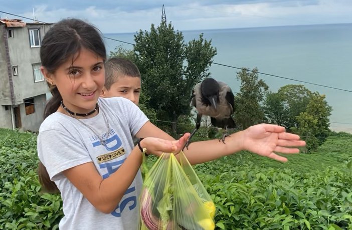 Rizeli Küçük Kız ’şakir’ İsmini Verdiği Kargasından Bir An Olsun Ayrılmıyor