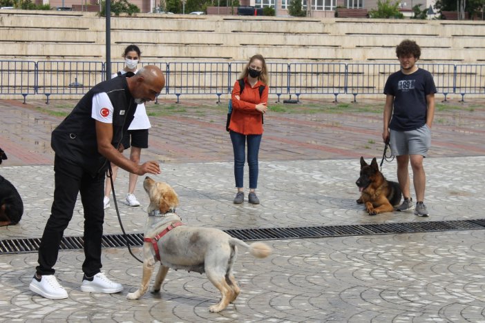 Omü Çalışanı Ve Öğrencilerine Afad’dan Temel Köpek Eğitimi