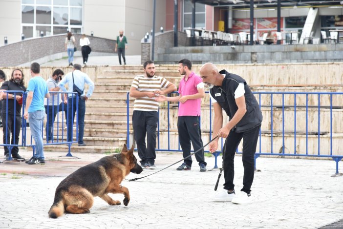 Omü Çalışanı Ve Öğrencilerine Afad’dan Temel Köpek Eğitimi