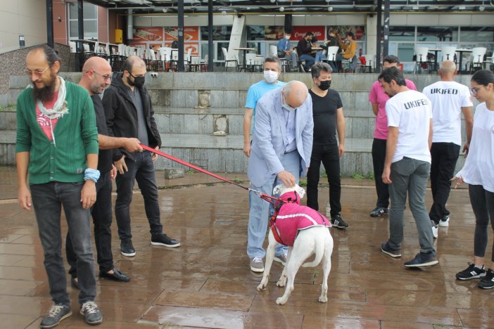 Omü Çalışanı Ve Öğrencilerine Afad’dan Temel Köpek Eğitimi