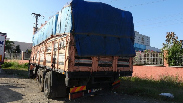 İstanbul’dan Ordu’ya Fındık Toplaya Giderken Kaza Yaptılar: 3 Yaralı