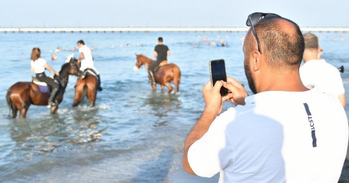 Atların Deniz Keyfi