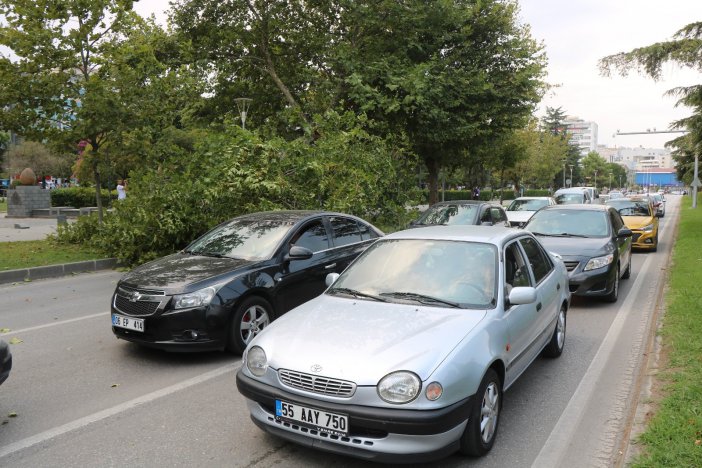 Samsun’da Fırtına Ağaçları Yola Devirdi