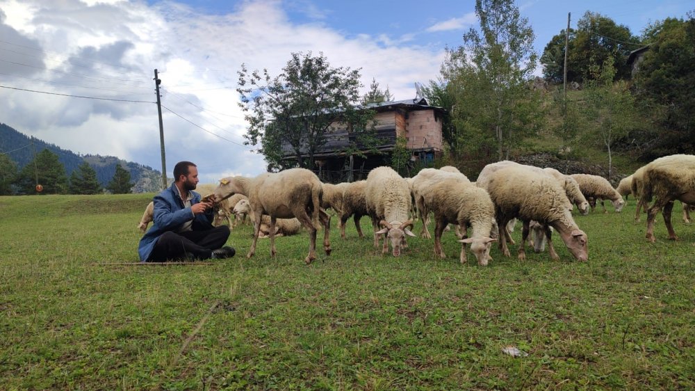 Artvin'li Mustafa , kaymakam olacaktı ama olmayınca çoban oldu